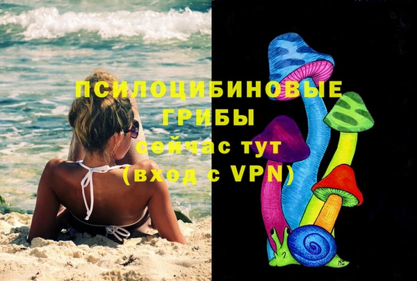 apvp Алексин