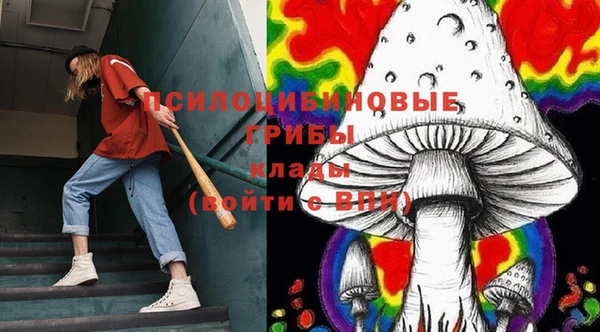 apvp Алексин