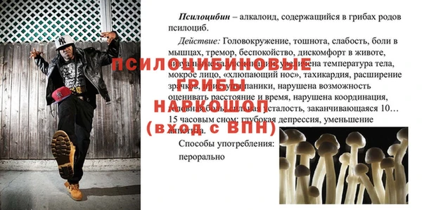 apvp Алексин