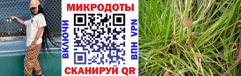 mega онион  закладки  Гусь-Хрустальный  Галлюциногенные грибы Cubensis 